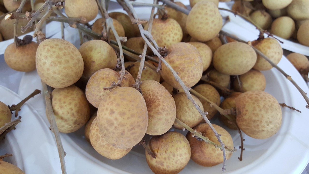 最新菠萝蜜,热带水果之王的美味与健康并存体验