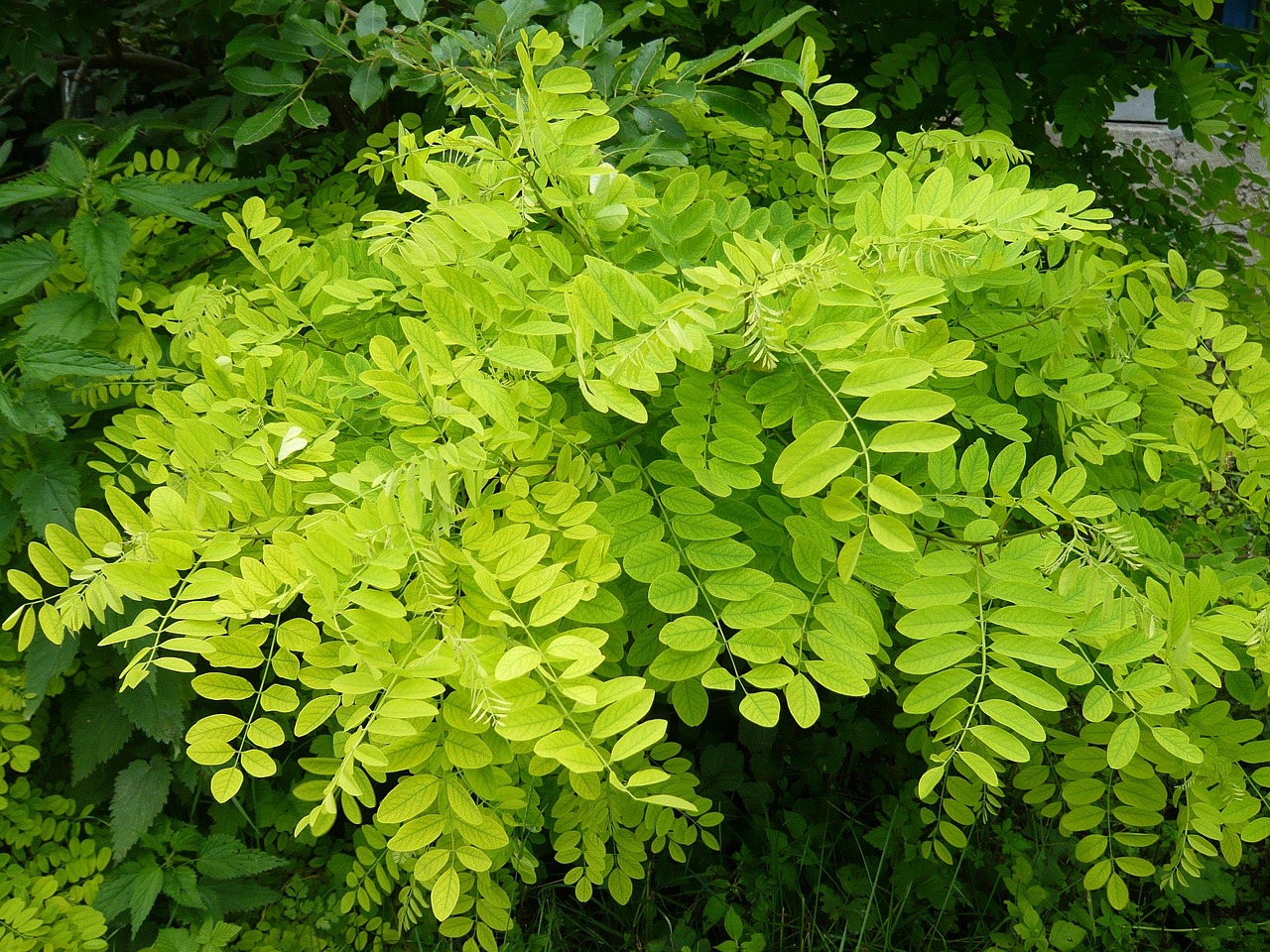 绿恒服务最新动态,引领绿色生活,创新服务模式启航