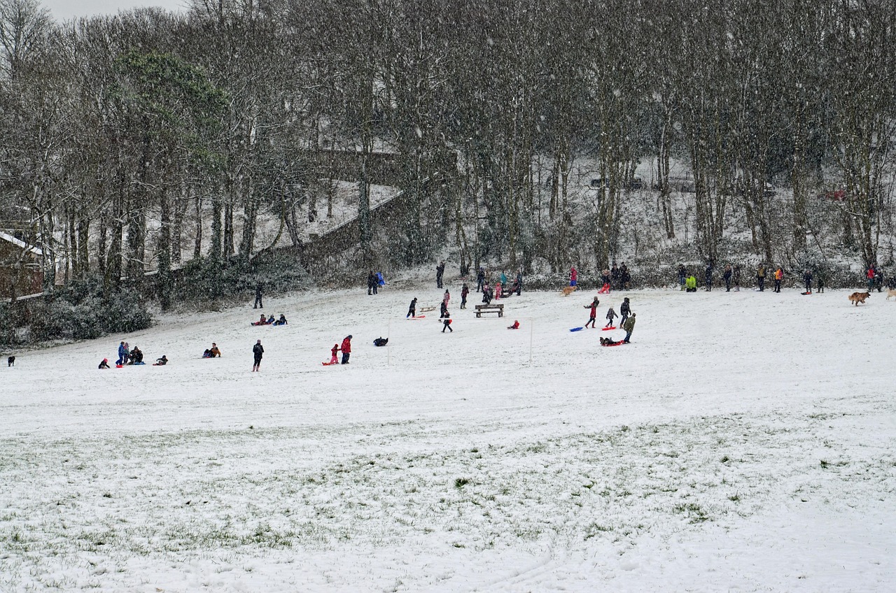 芜湖发布最新疫情动态,坚定信心,携手共抗疫情