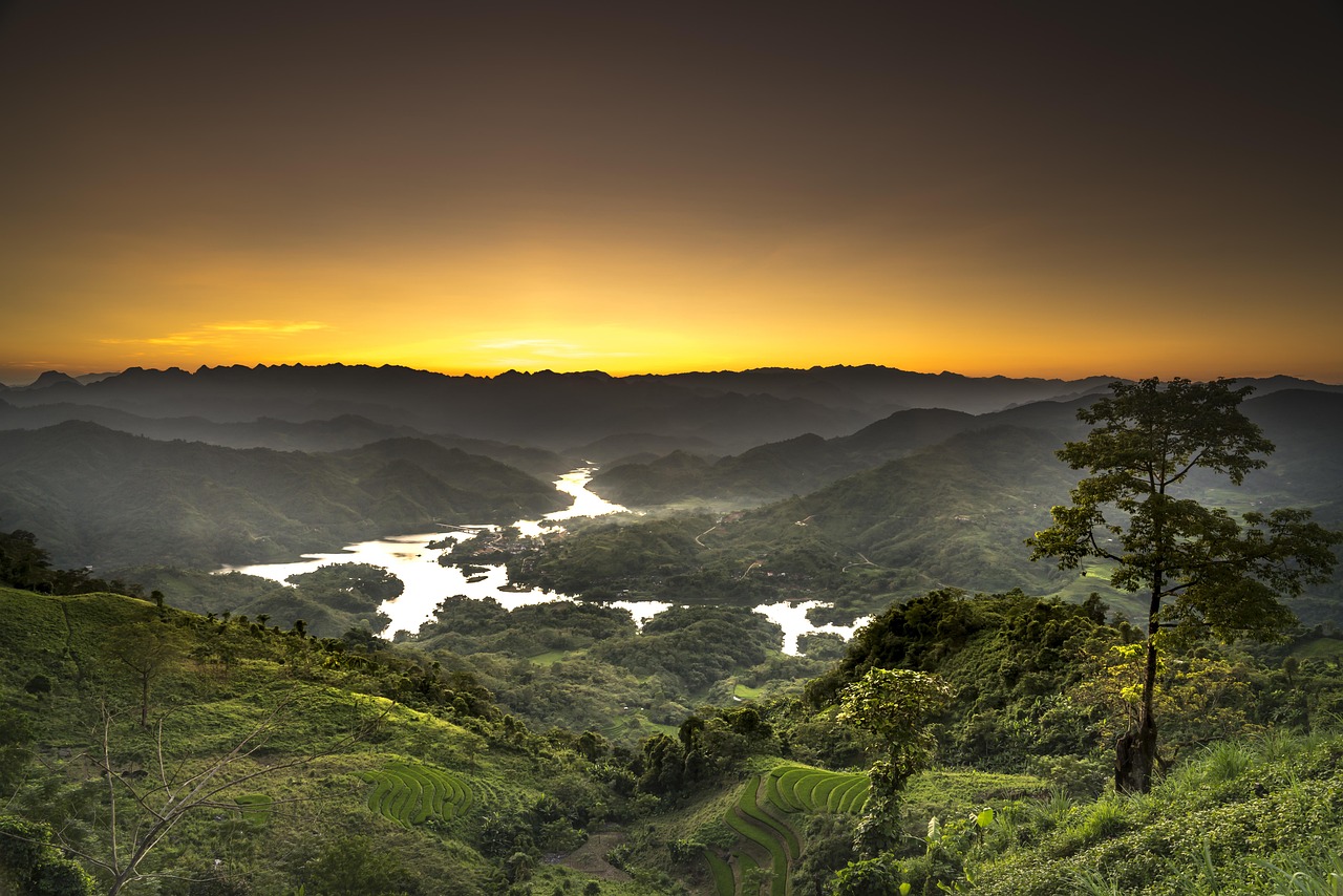 越南最新疫情动态更新