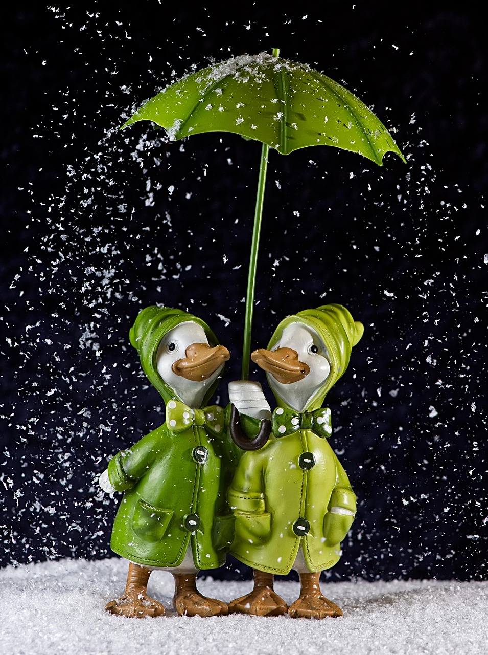 动物餐厅摊主最新动态,创新经营与独特魅力的展现