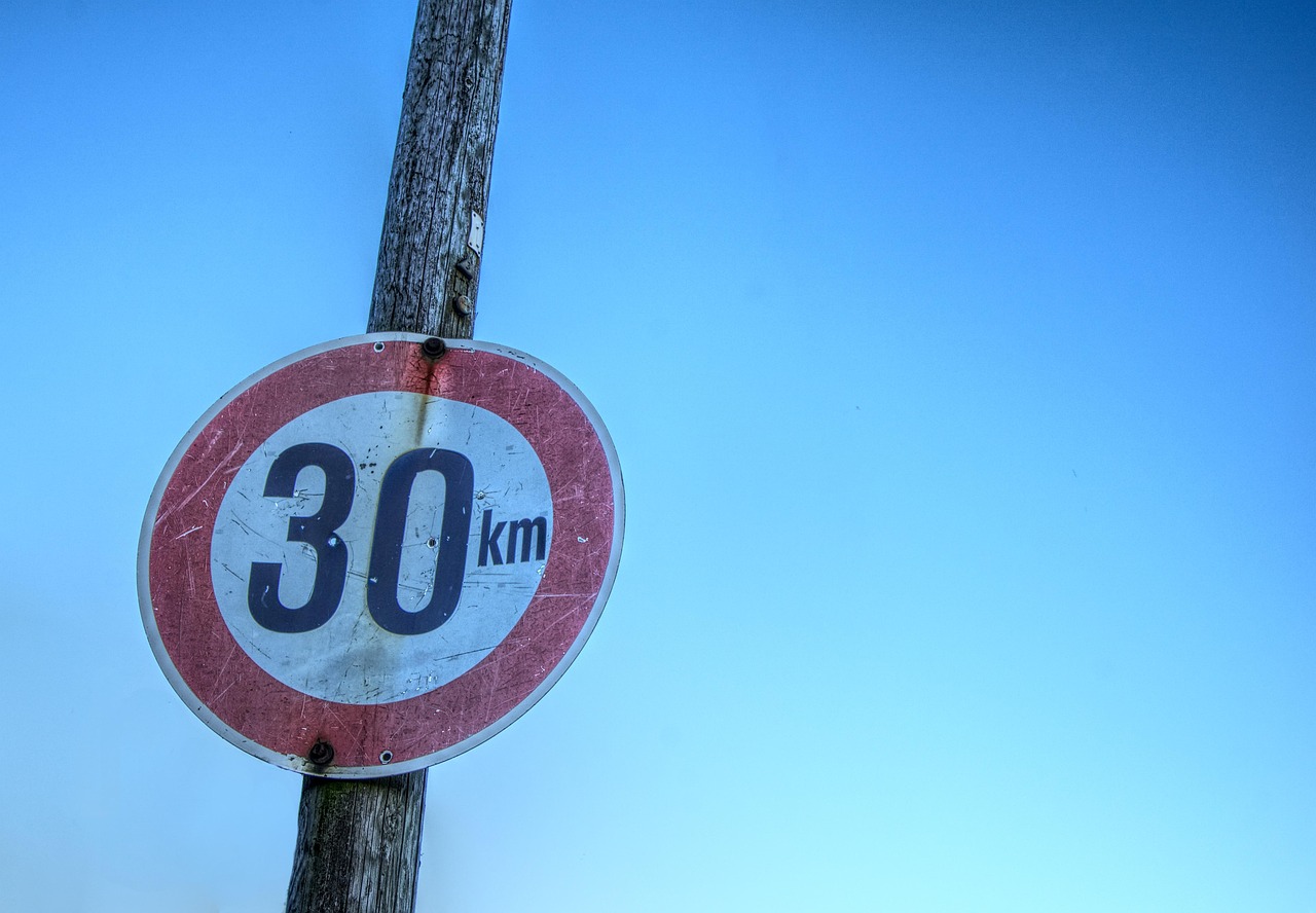 大选结果最新实时,未来路标的指向