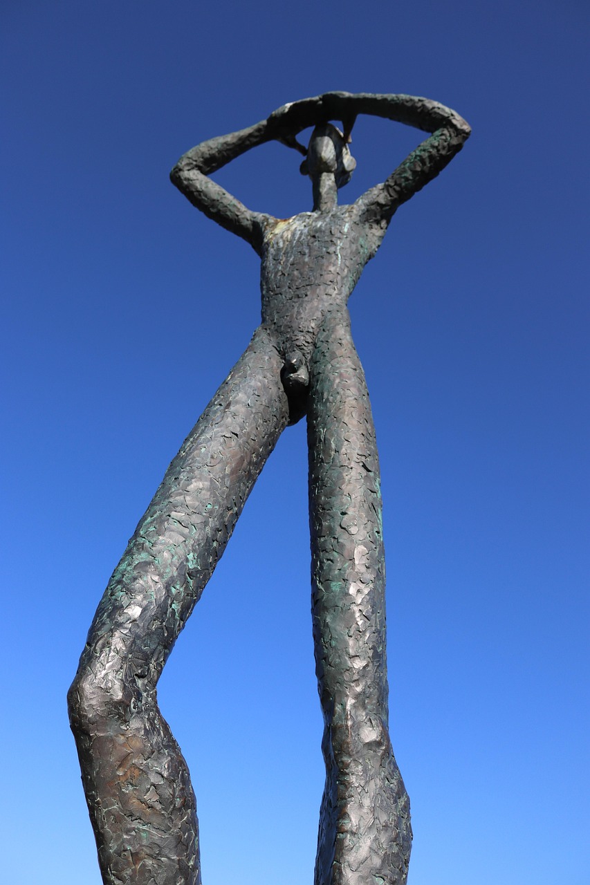 辛巴最新动态,数字时代的商业变革与未来展望探索