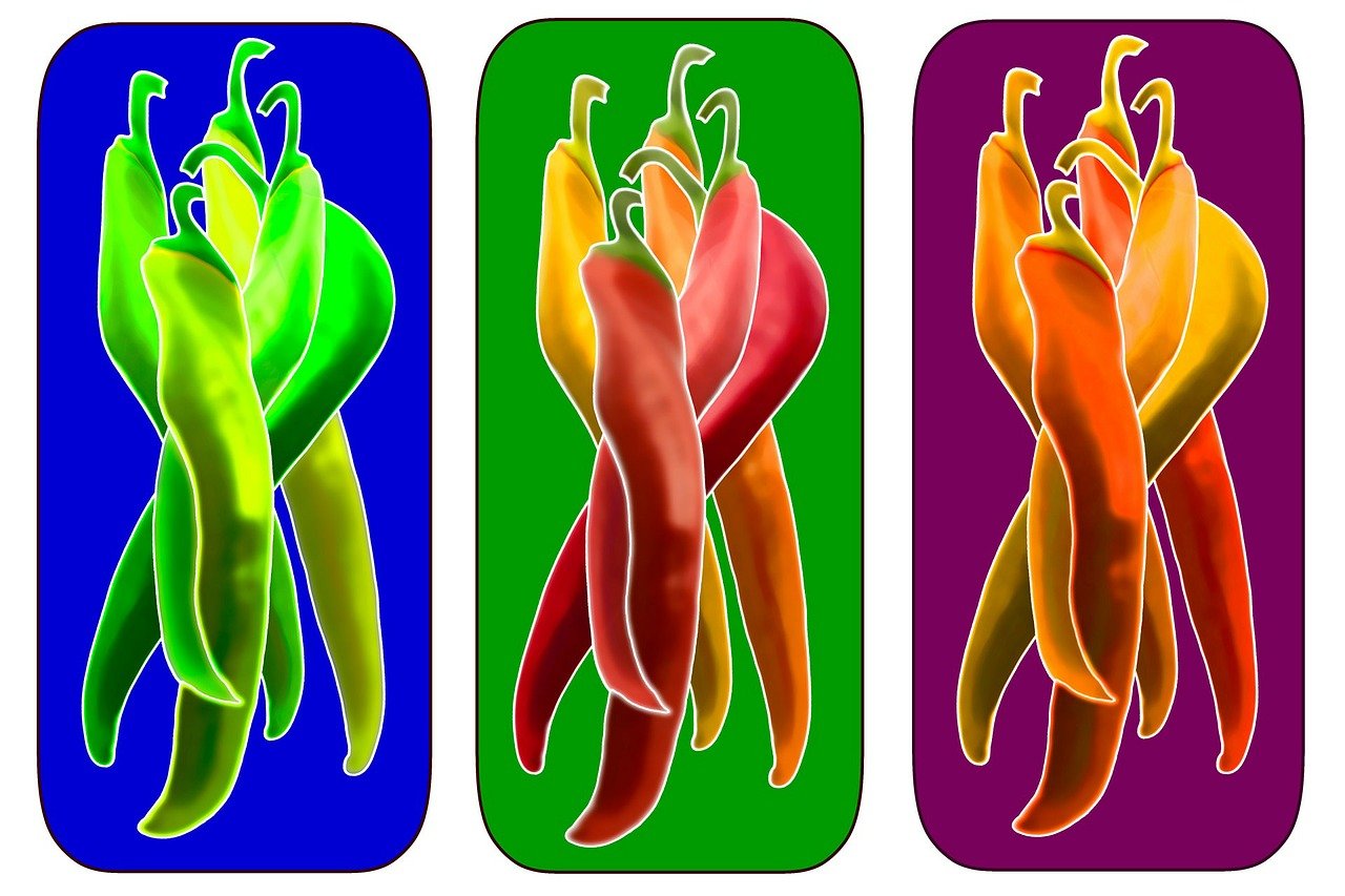 黄美剧最新动态,热门剧集新篇章探索