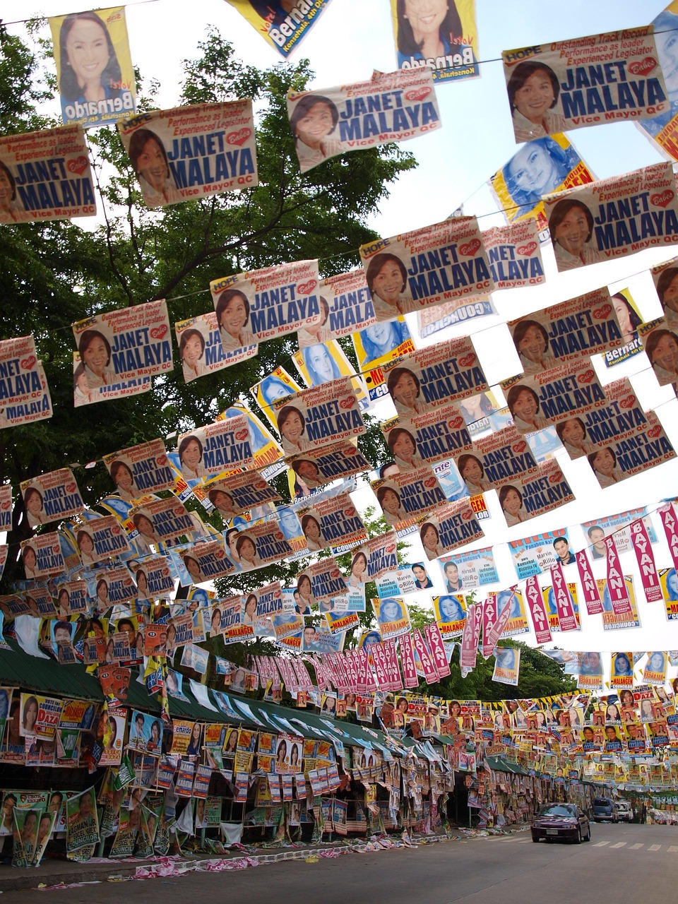 台湾民意动向与选举动态,最新投票新闻报道