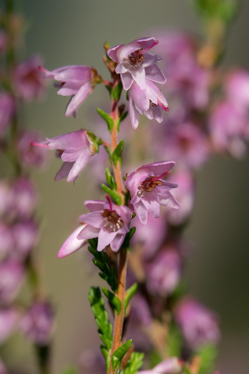 王逸动最新动态揭秘,未来之星的无尽可能探索