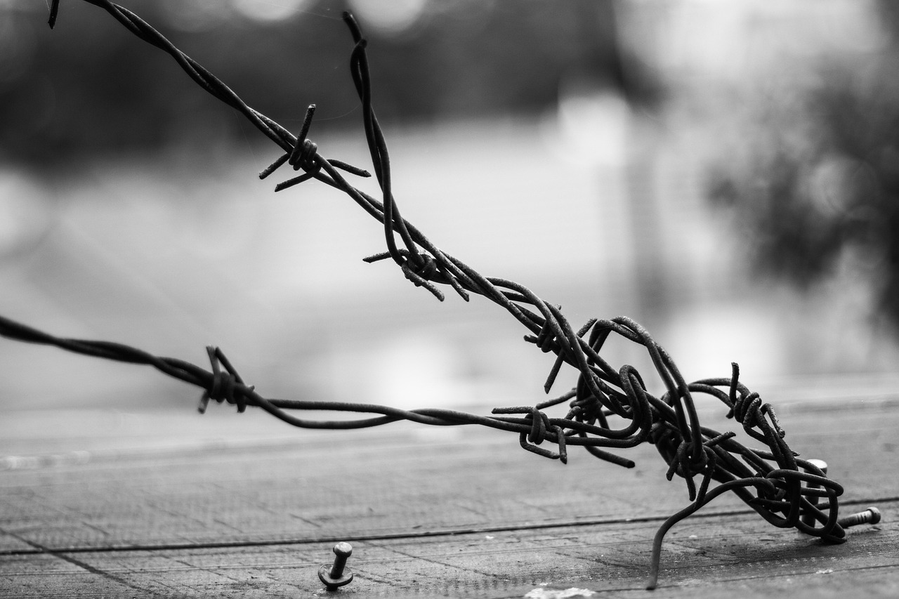 宁浩最新短片,探索电影艺术的无限边界