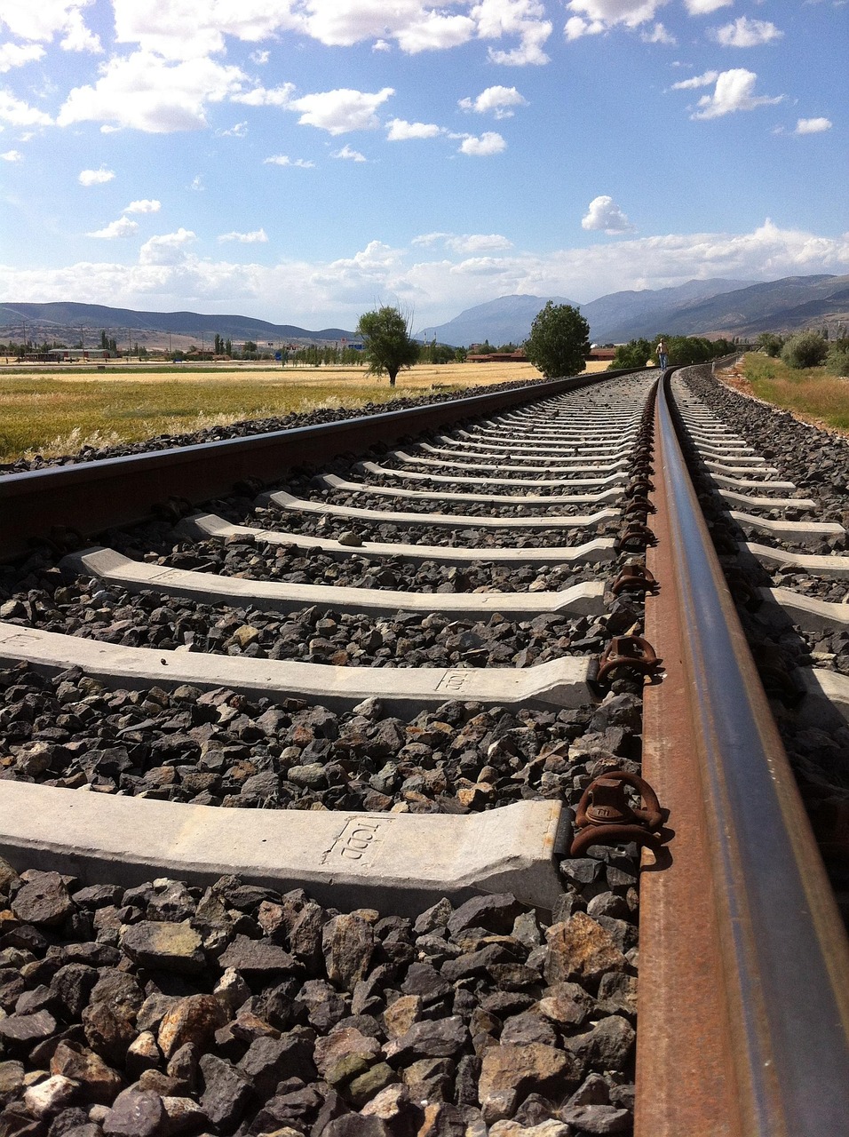 肖战最新工作动态,专注与努力的忙碌行程