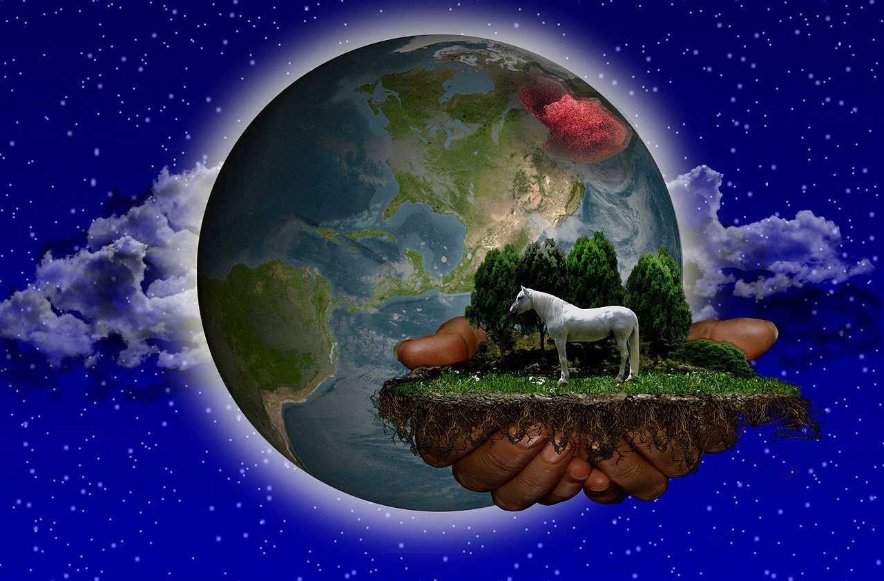 最新网游探索虚拟世界的无限魅力