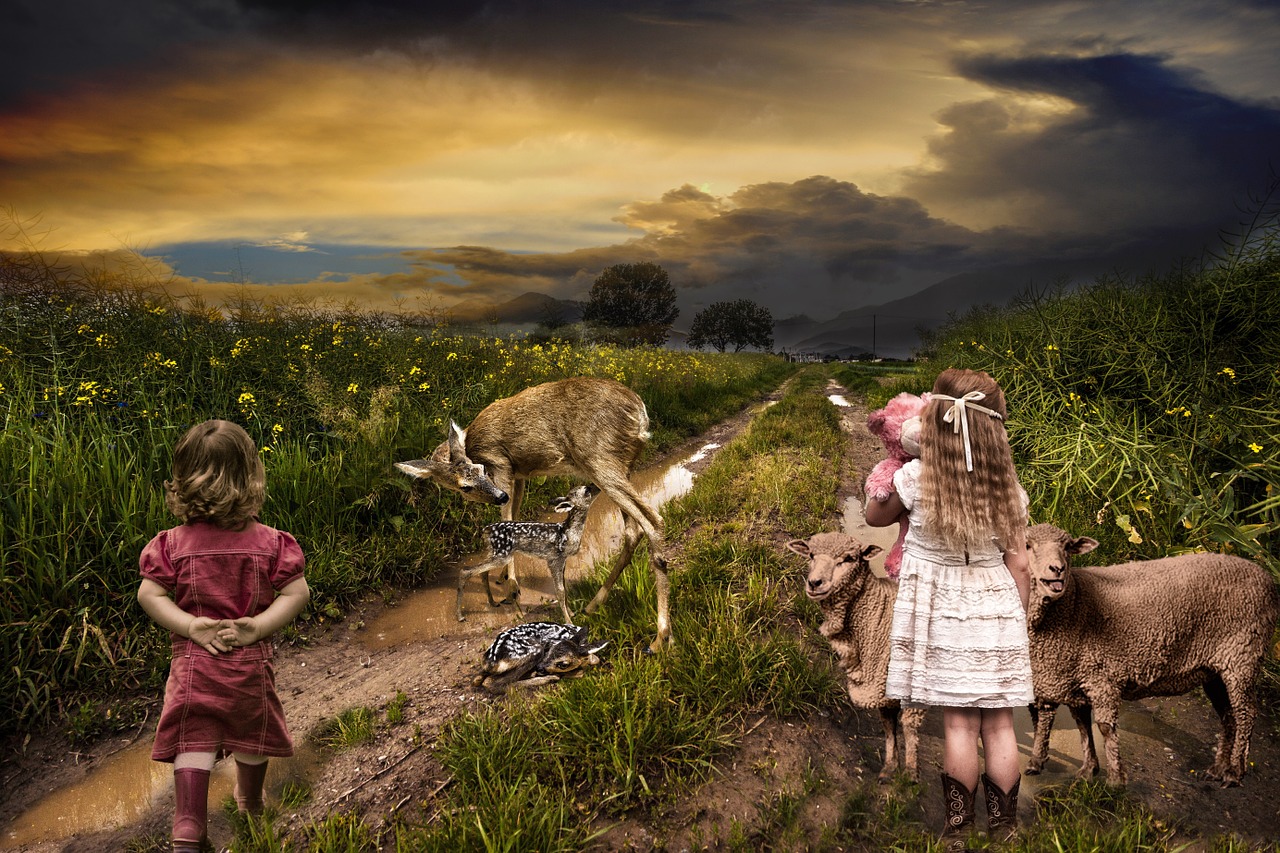 迷你世界最新奇幻之旅探索启动!