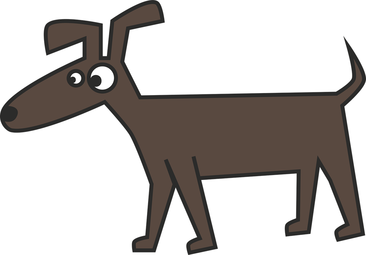 文豪野犬汪漫画最新动态,热血与文学交织的冒险之旅持续更新