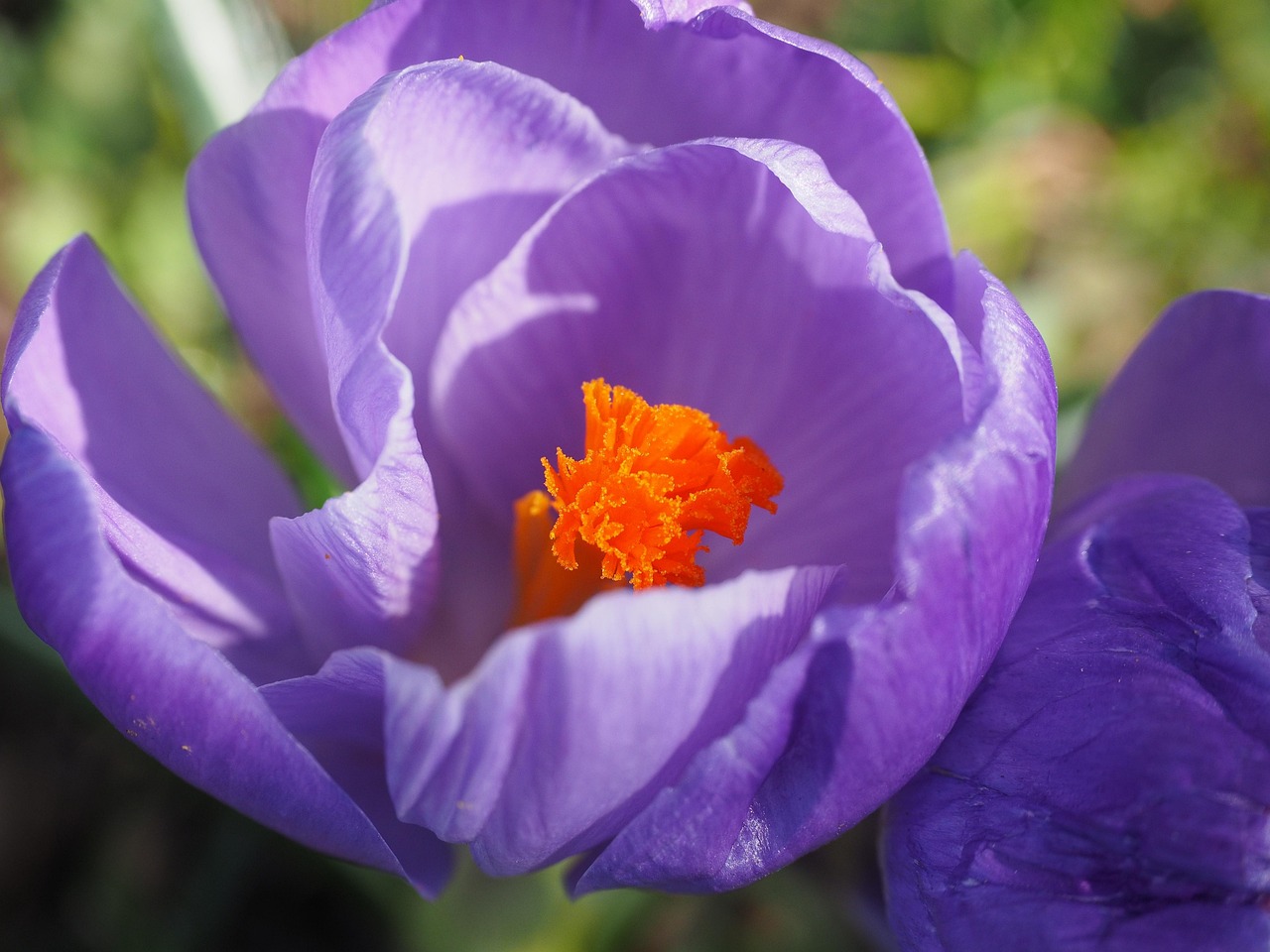 林业部门最新动态与进展速递