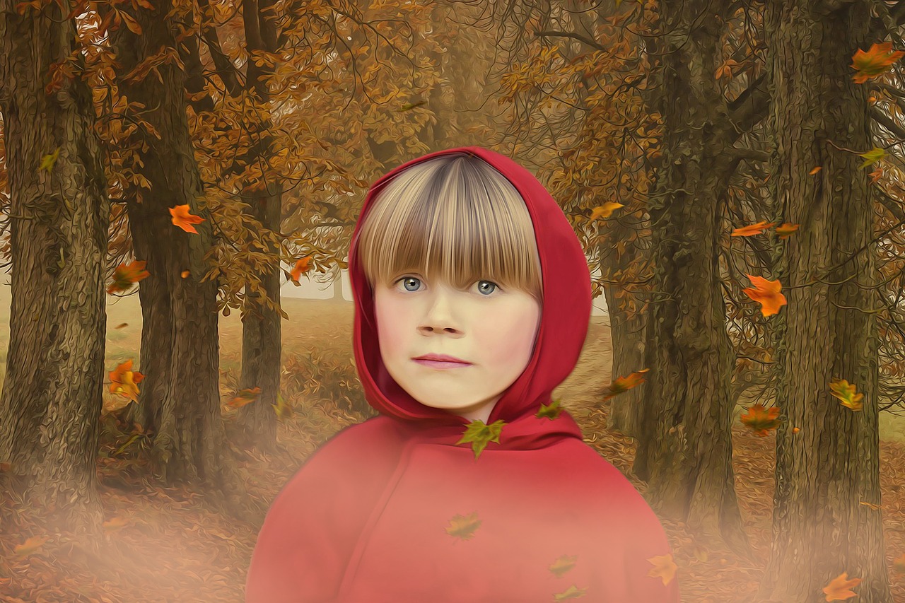 红刺北小说最新动态,探索未知的文学世界之旅