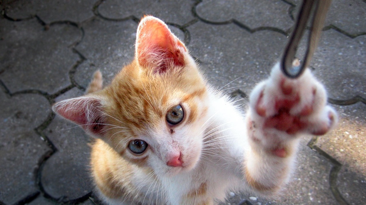 辽源最新动态,城市发展的崭新篇章开启