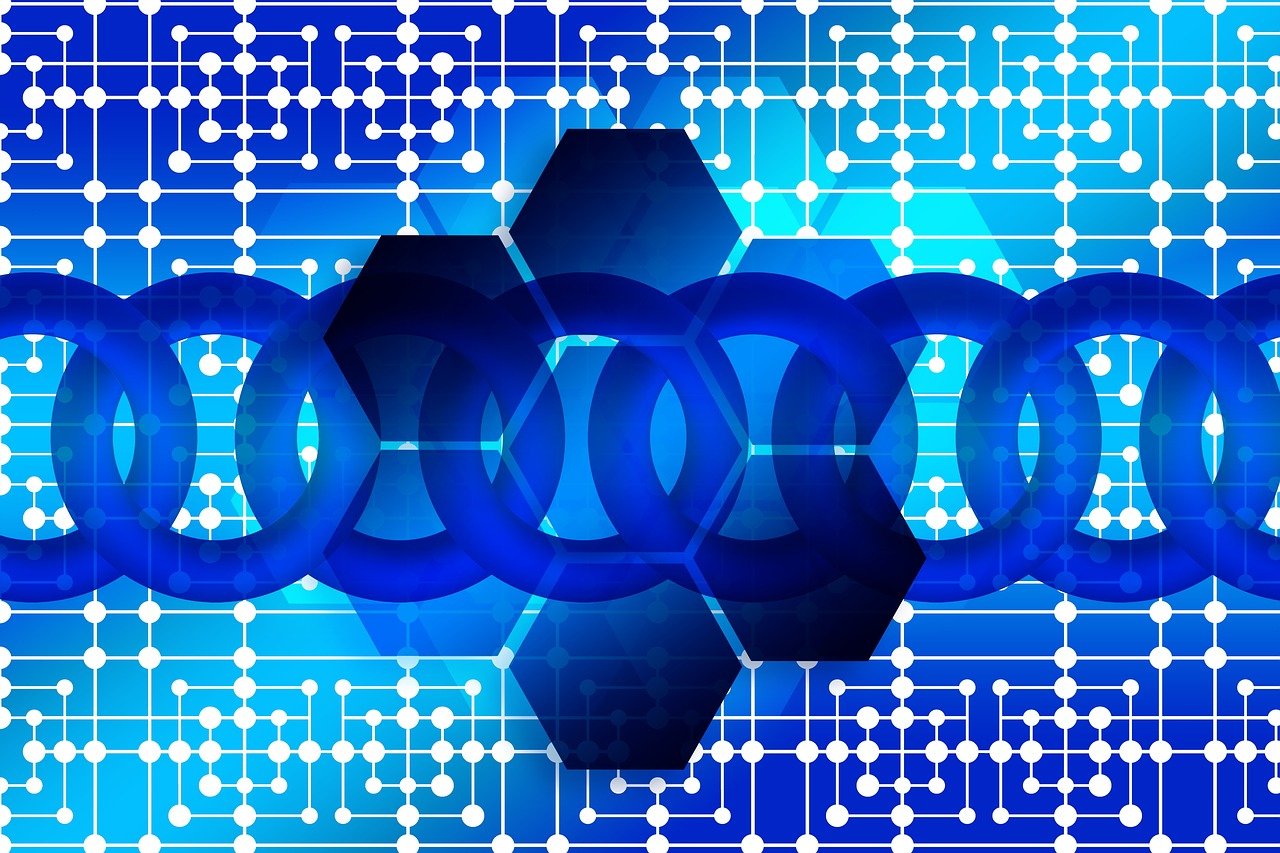 最新贷款投放数据解析,趋势、影响及展望