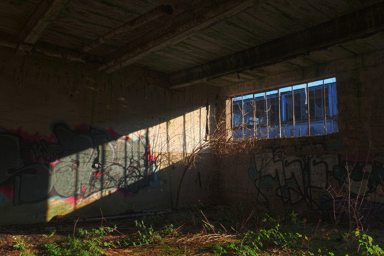 最新高分悬疑电影,探索未知世界与心灵深处的迷宫