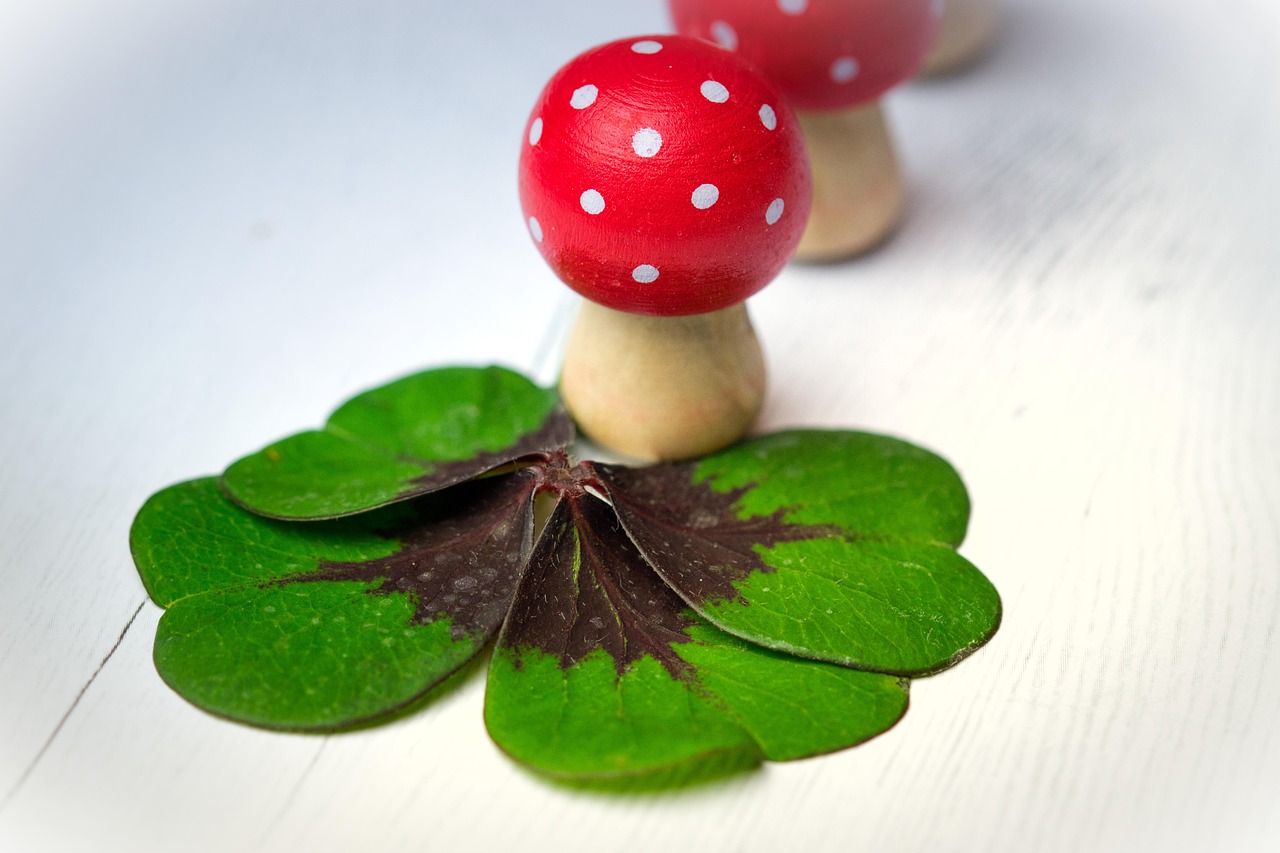 抖音钻卡最新动态揭秘,探索未来趋势与价值潜力