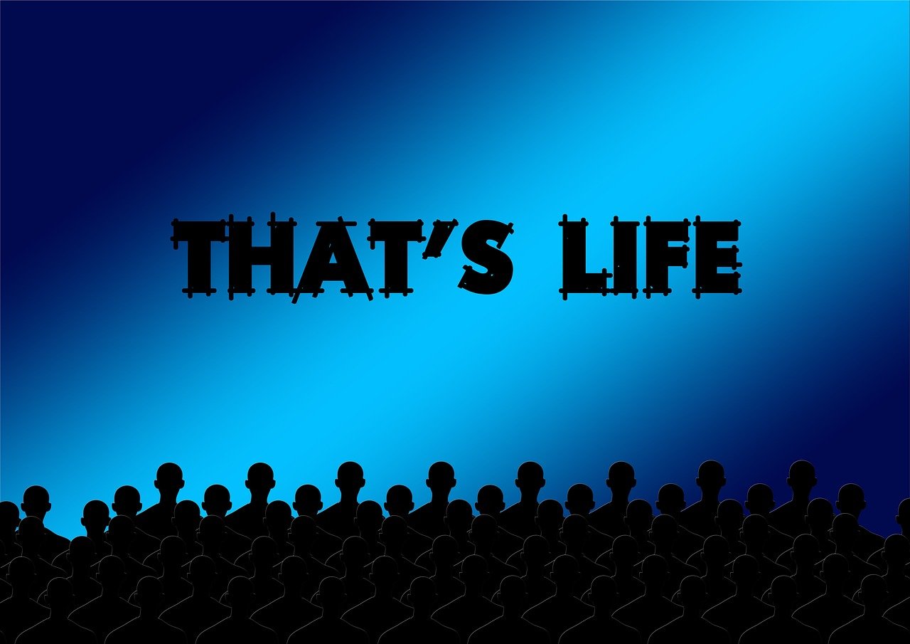 中国最新高分电影,繁荣的影视文化与高质量作品共展风采