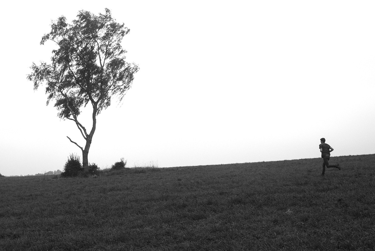 黑颜最新动态,探索与发现