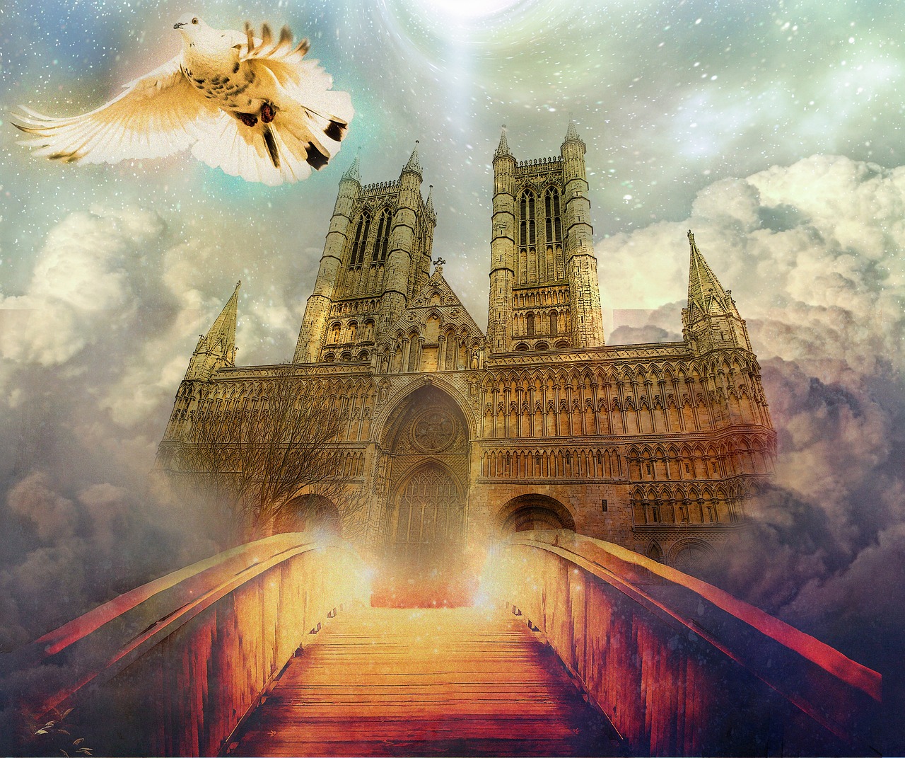 名莲最新版,探索与体验之旅