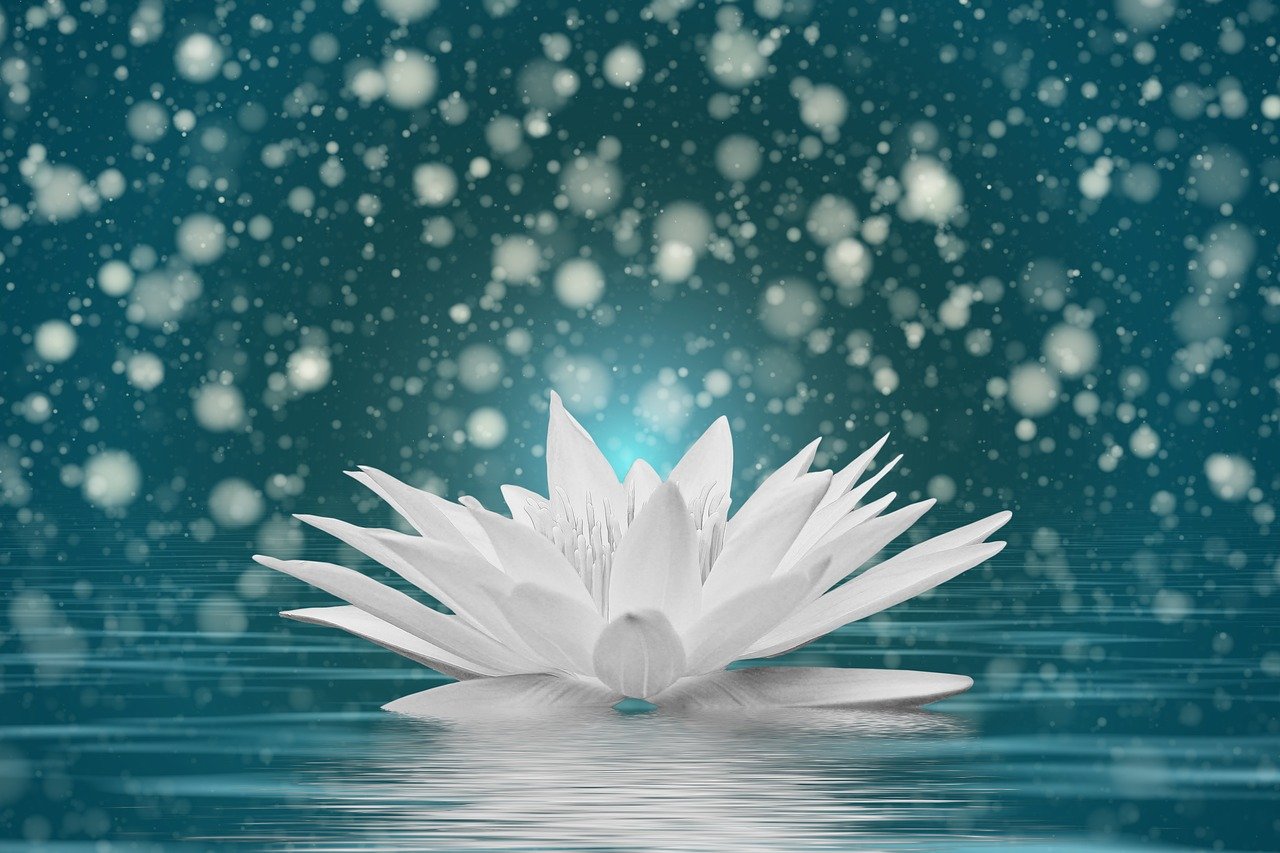 信息时代下的阅读之道,掌握最新消息,洞悉时代动态