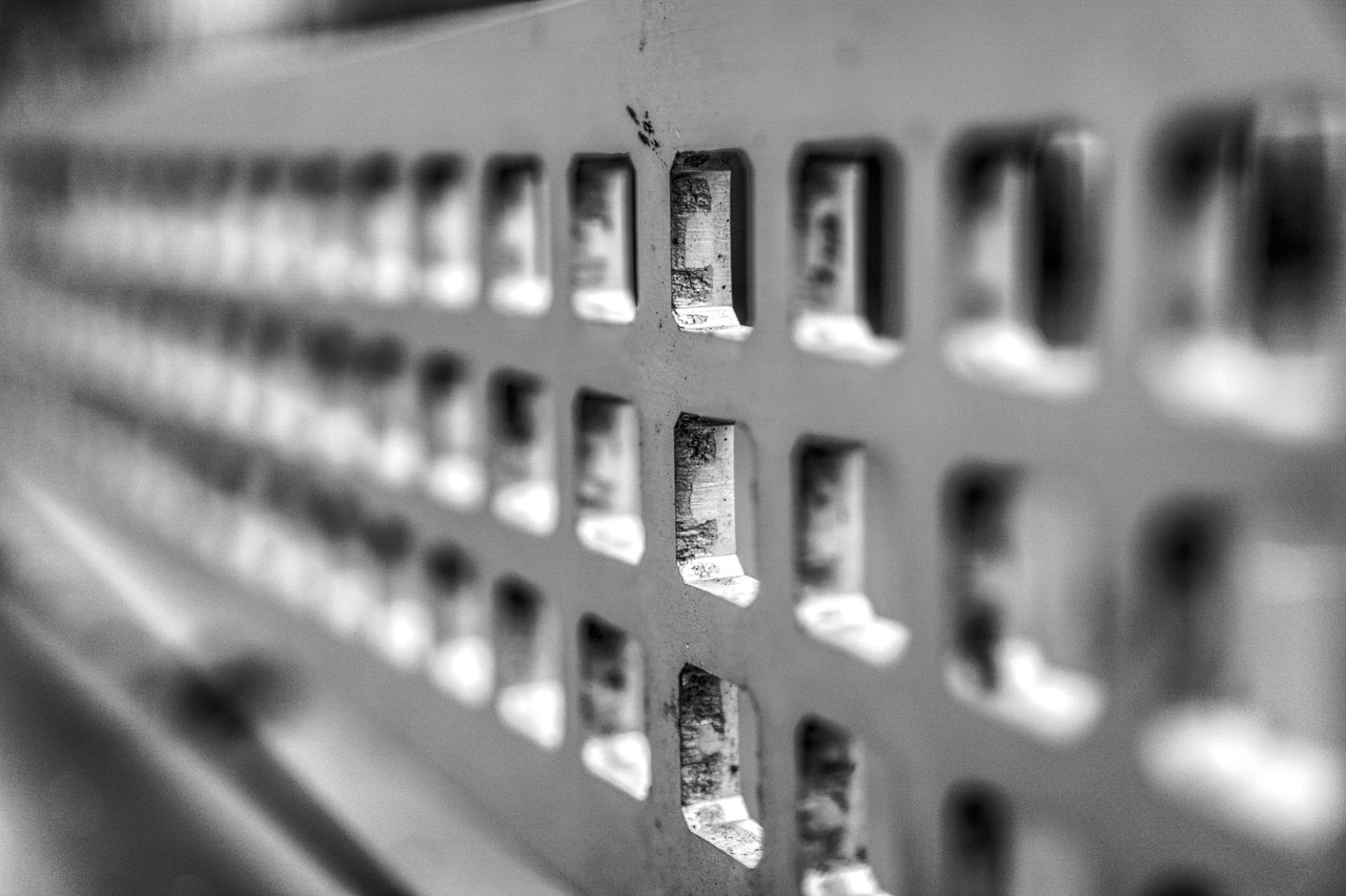 河南建业女足最新动态与深度解析