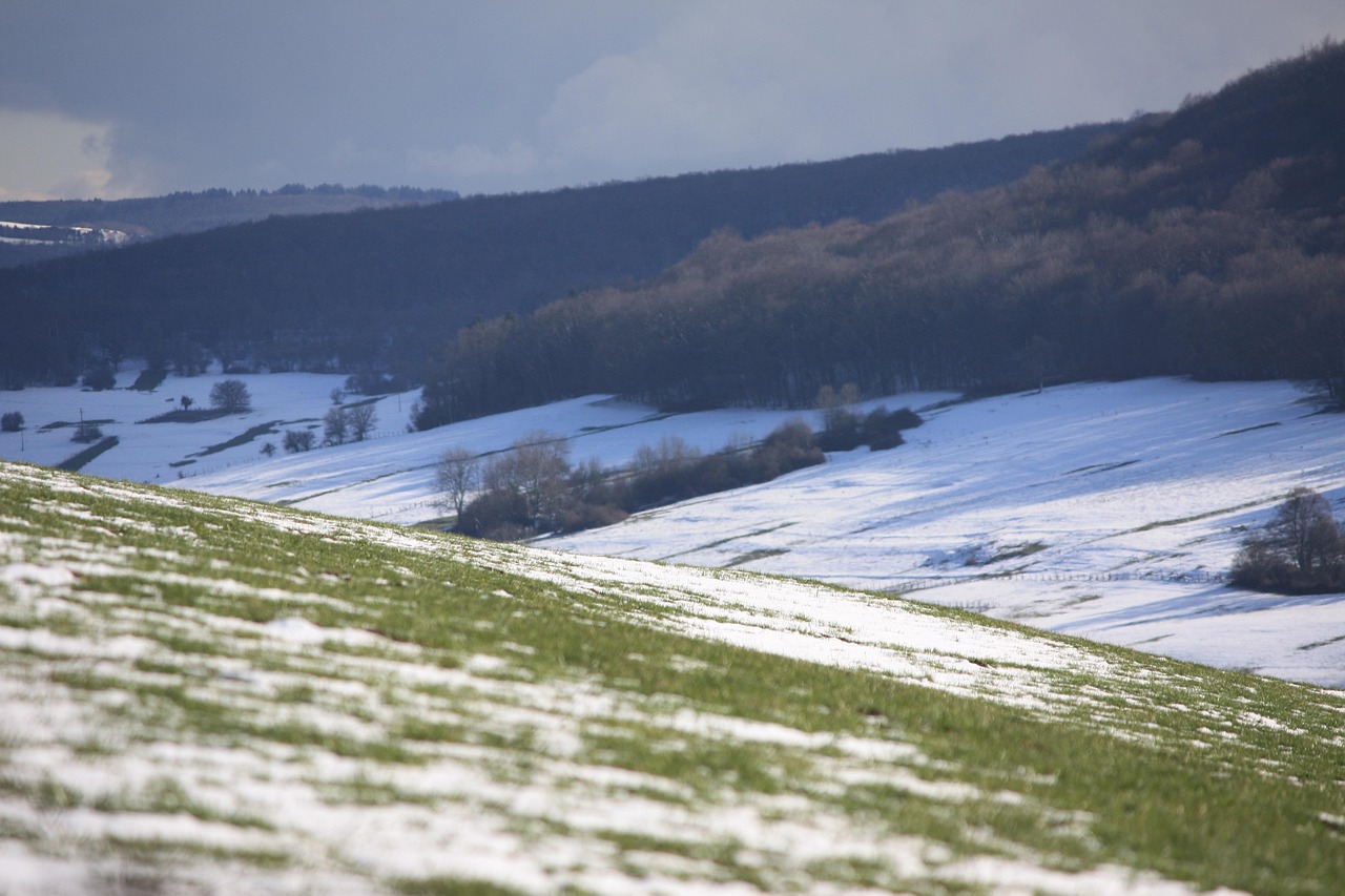 五色草的最新发展动态及前景展望