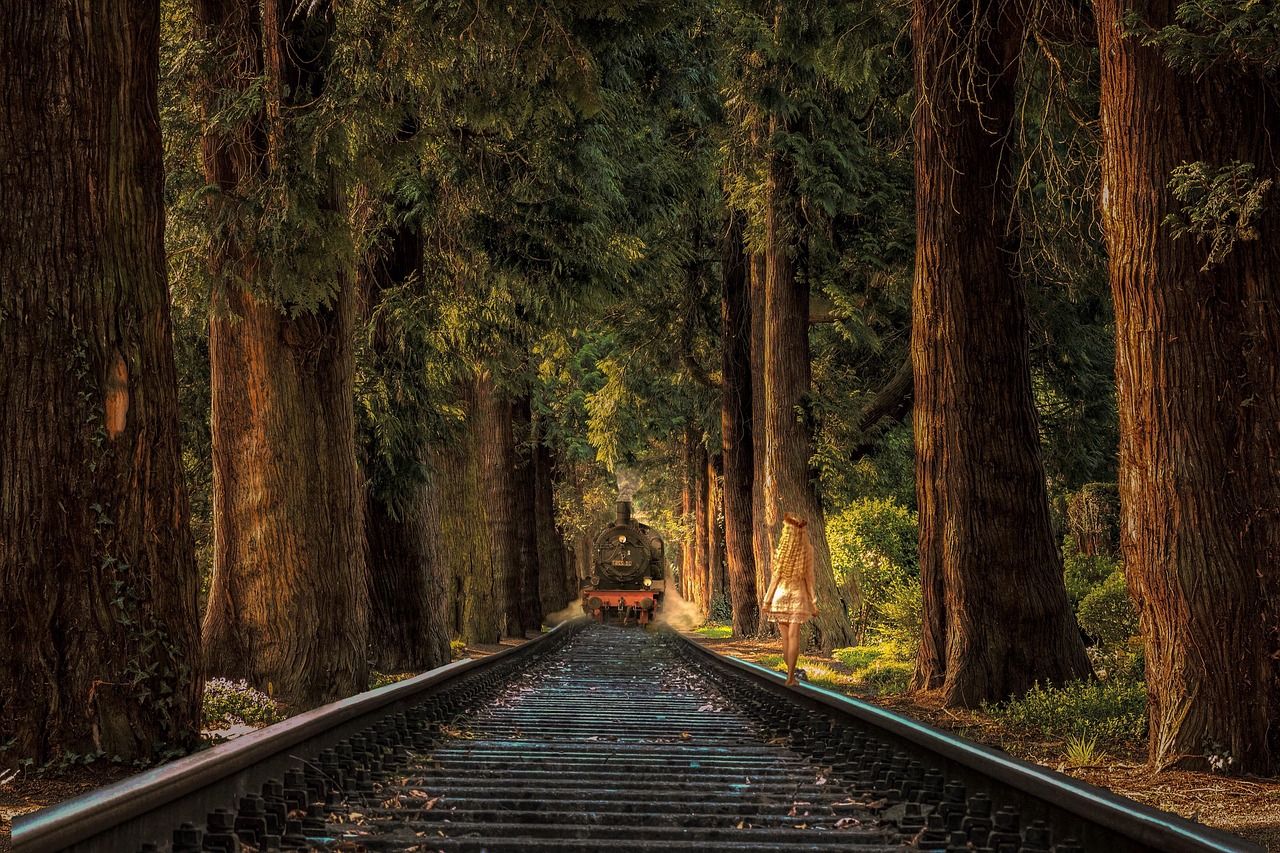 繁花似锦 第4页