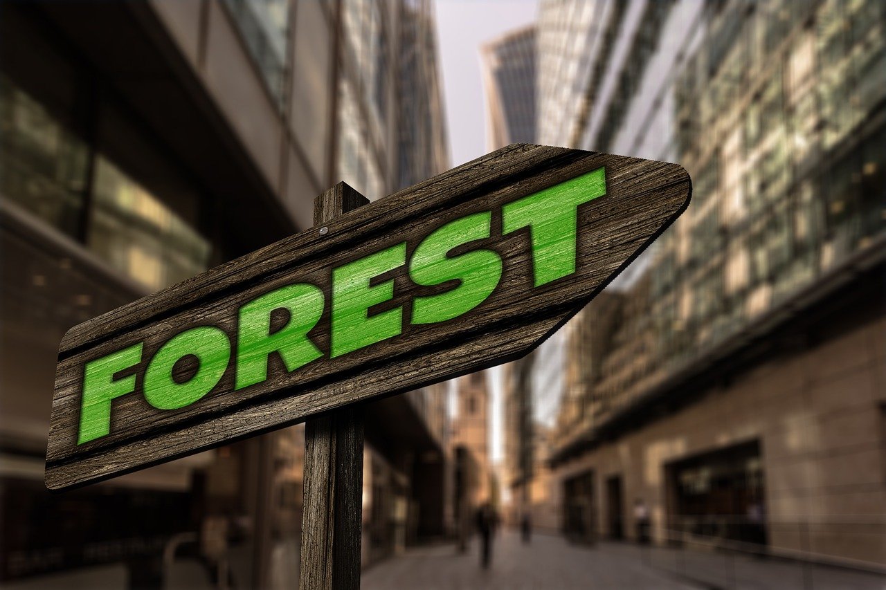 疫情最新城市动态观察与深度解析,实时更新与洞察疫情趋势