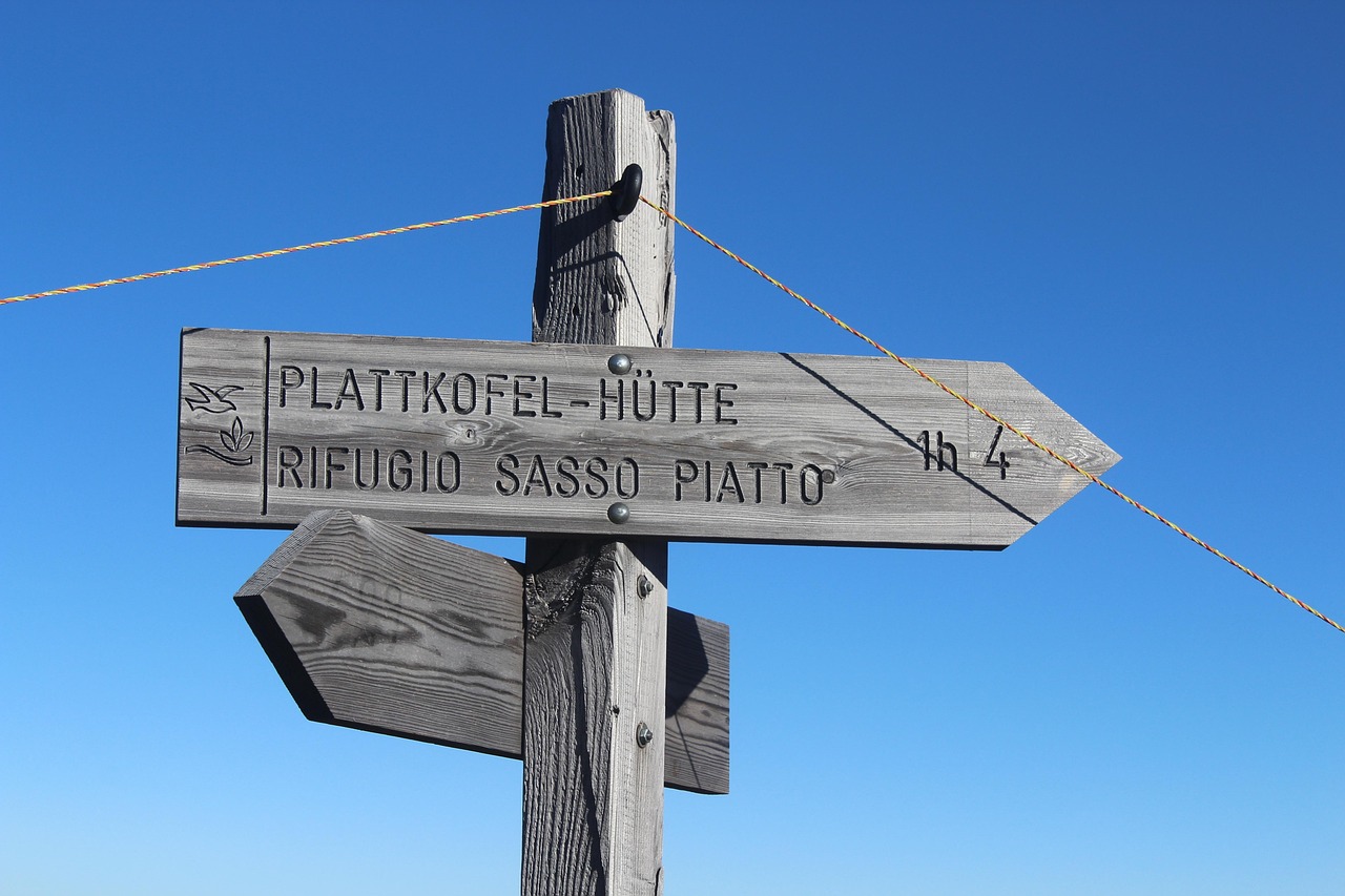 博君一肖最新动态深度探究及前景展望