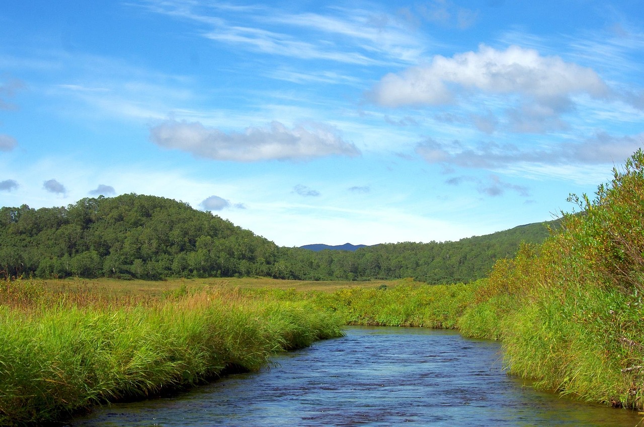 自然与科技交融之旅,探寻h水卜樱最新动态与奇妙旅程