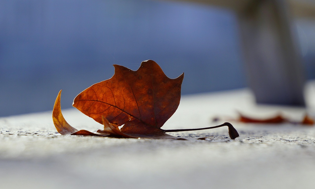 俄罗斯疫苗最新动态,进展、挑战与前景展望