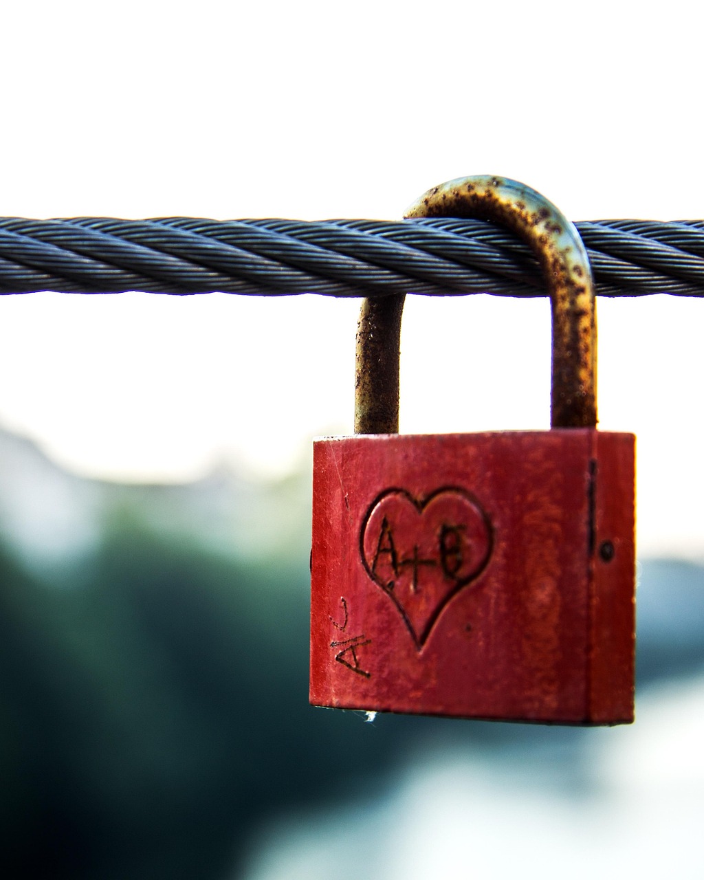 最新情侣头像萌宝,爱的甜蜜符号,情侣间的浪漫表达