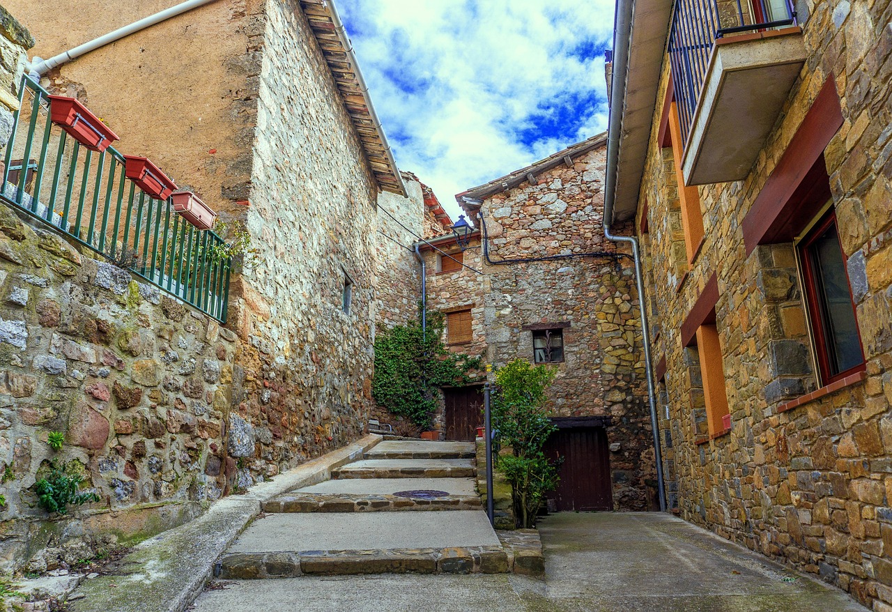 农村最新致富网,探索新时代农村发展之路