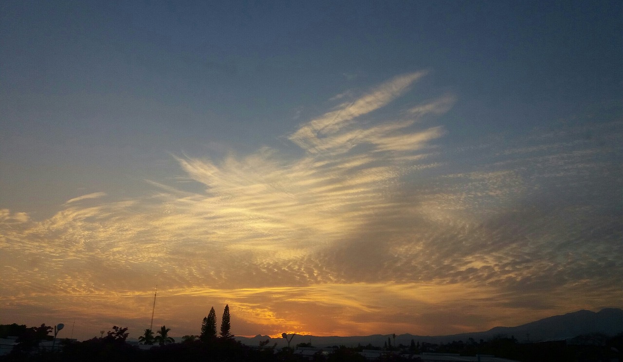 栖心之栈最新动态，探索新时代的旅游住宿革新