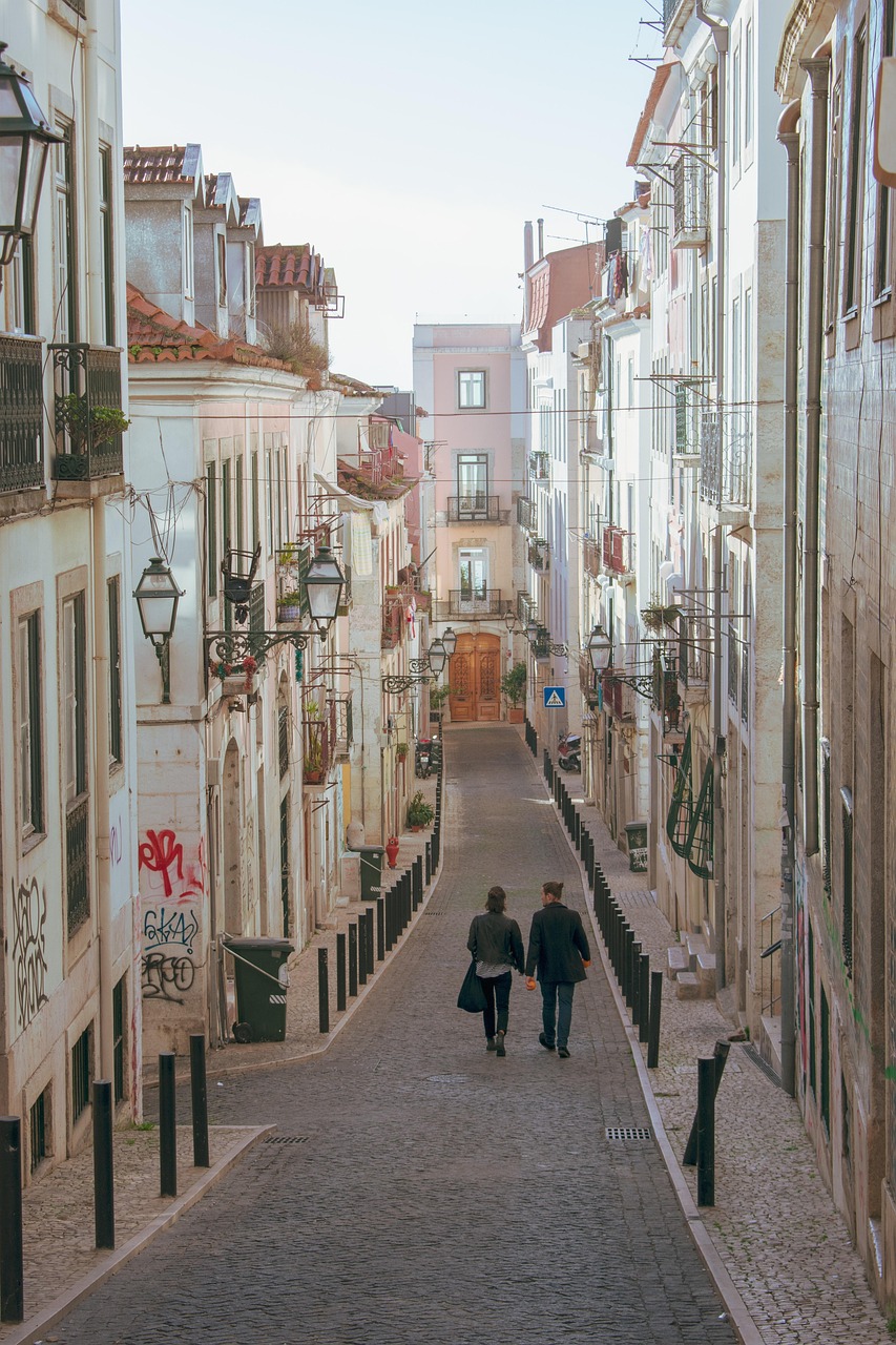 小草的最新动态,生长、保护与未来发展展望