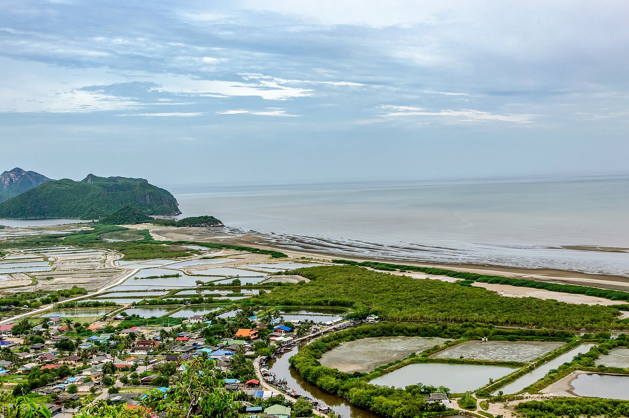 平鲁最新政策推动区域高质量发展