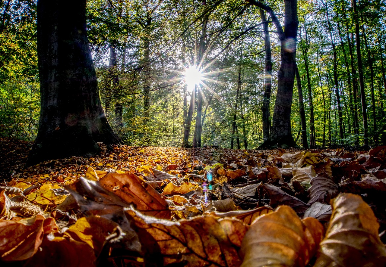 新疆最新疫情概况与动态更新