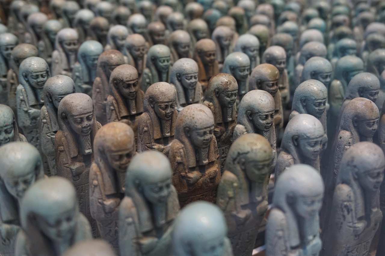 萧山机场疫情政策最新动态分析与解读