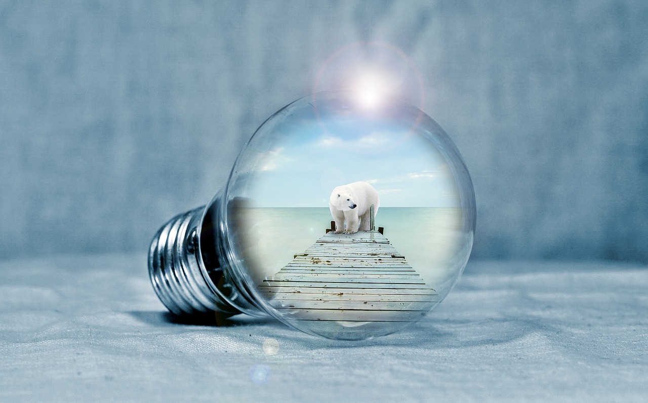 苹果读书最新网站,探索知识的海洋之旅