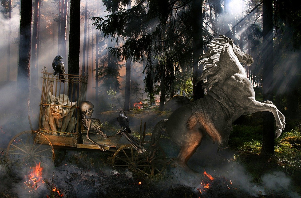 神袛禹枫最新传说揭秘,神秘传说再更新