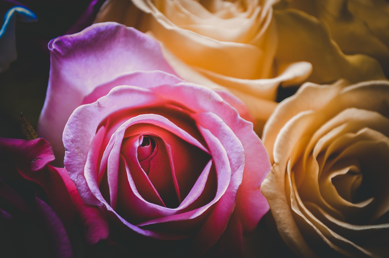 穿越现实与幻想的颜如玉爱情故事最新小说连载更新中