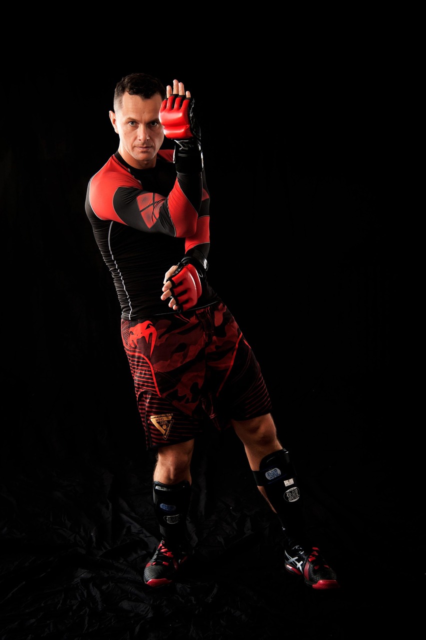 街头霸王全集最新,热血重燃街头格斗盛宴