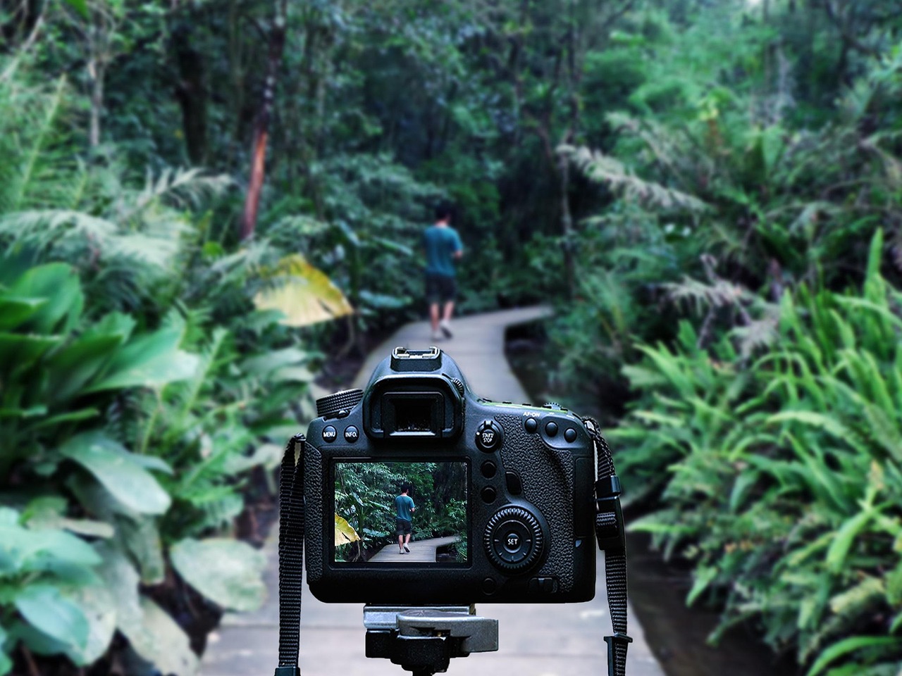 王二妮音乐之旅新篇章,最新动态揭秘个人发展之路